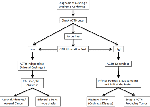 adrenal_diagnosis_cushings_disease.png