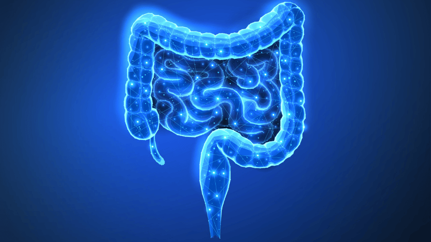 Integrated Colorectal Surgery & IBD Interventional Endoscopy Care image