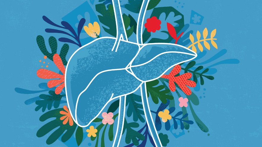 Liver Cancer Program image