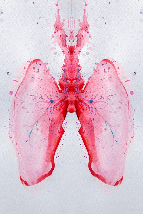 Advanced Emphysema & COPD Program image