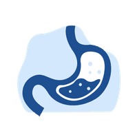 image: stomach