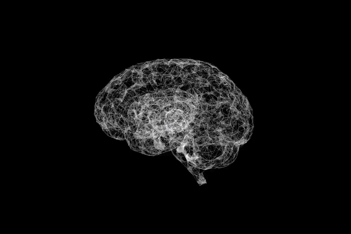 An image of a brain over a black background