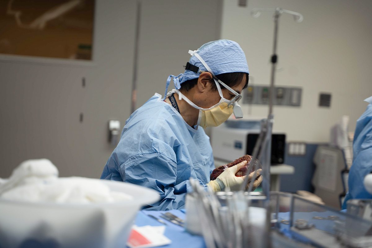 Dr. Kato carries the liver across operating room.