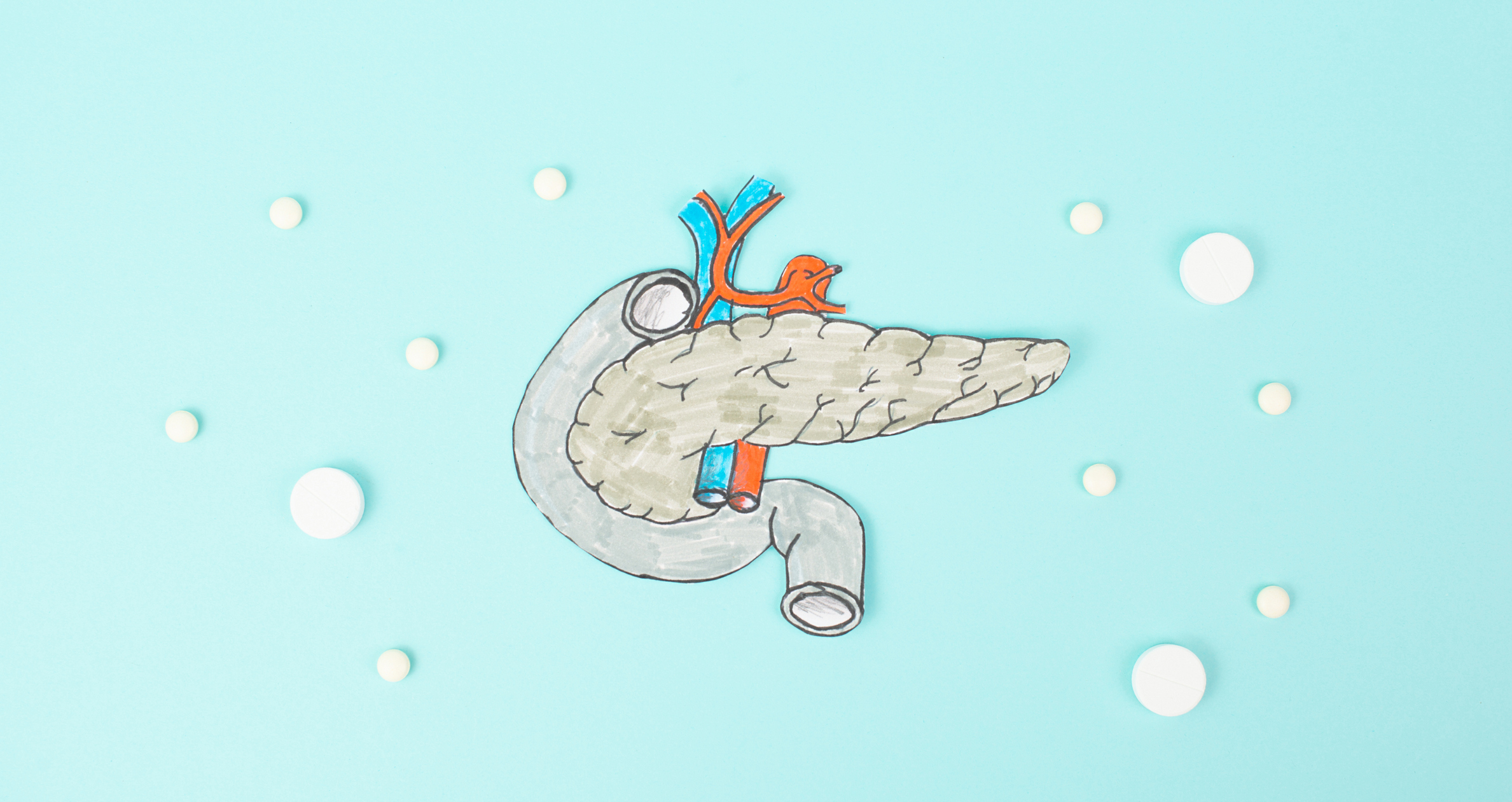 Pancreas organ with pills, digestive and endocrine system of vertebrates, regulation of blood sugar levels, insulin hormones, diabetes mellitus and cancer