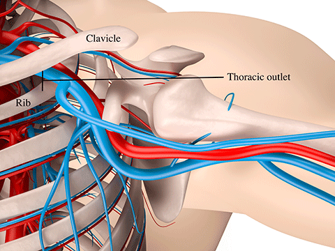 Structures and Spaces, Center for Thoracic Outlet Syndrome