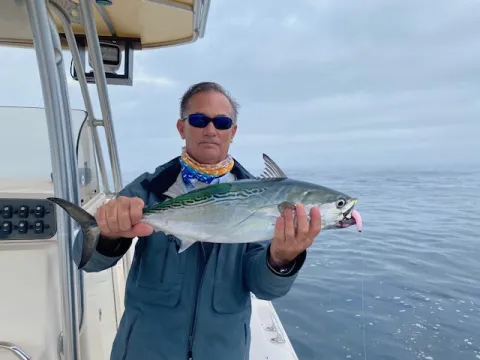 Dr. Chabot pictured here with a false albacore he caught in Cape Cod, Massachusetts.