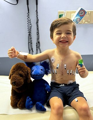 Teddy sits with his stuffed animals after surgery