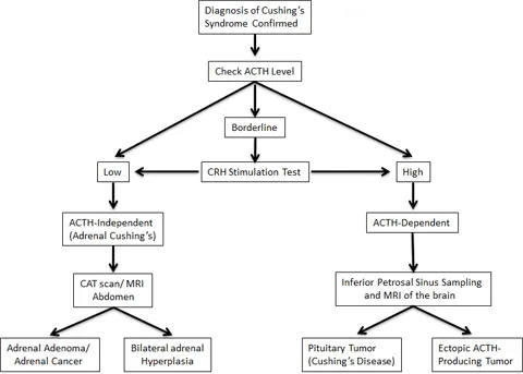 Localizing the cause of Cushing's Disease (PDF) Localizing the cause of Cushing's Disease (PDF)