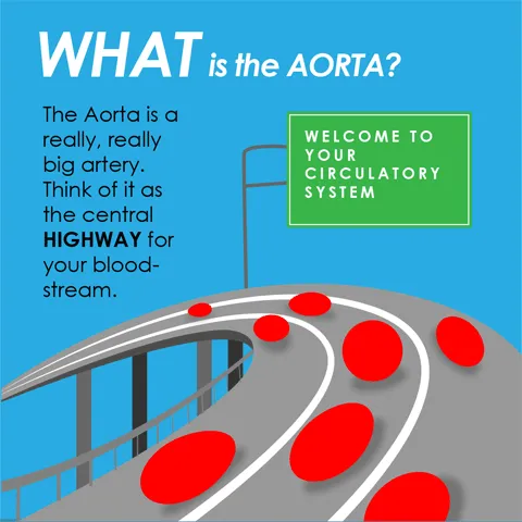 WHAT is the AORTA?