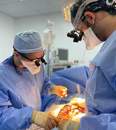 Tetrology of the Fallot repair