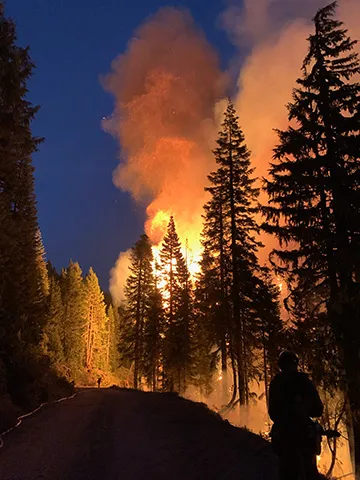 Backfire operation in California this year
