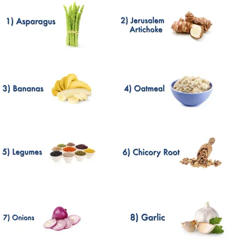Asparagus, Bananas, Legumes, Onions, Jerusalem Artichoke, Oatmeal, Garlic, Chicory Root