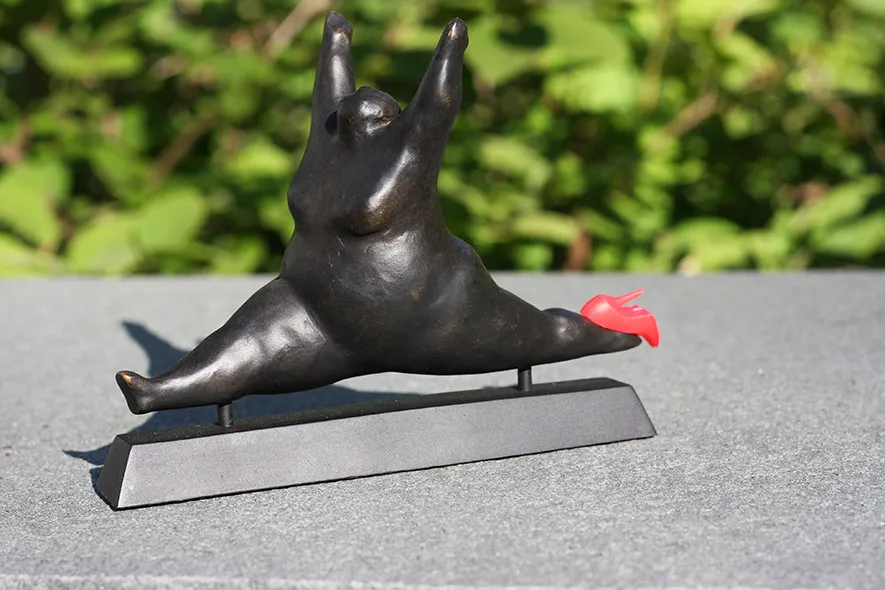 Picture: Shoe Leaping Lady