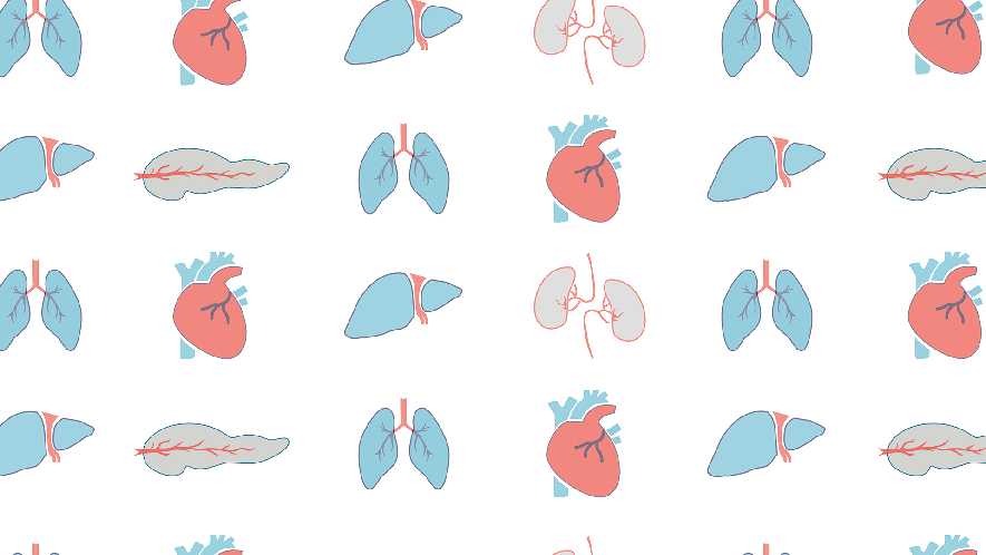 Banner: Organ Transplant at Columbia