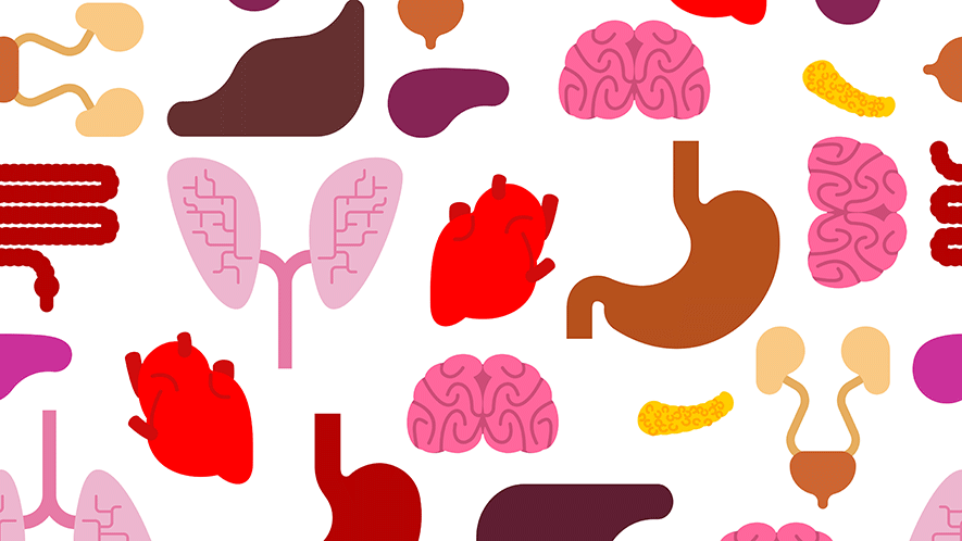 Learn About Our Surgical Specialties Banner