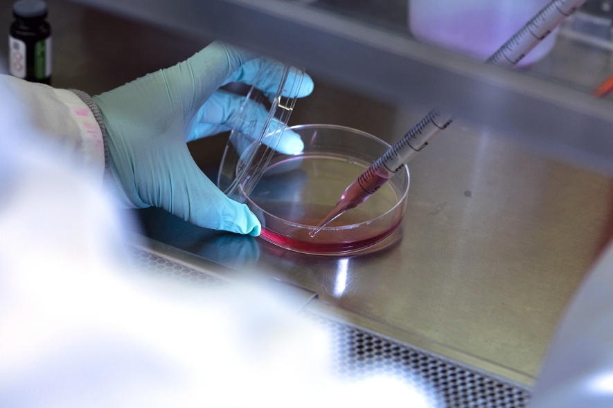 Image of researcher working on samples in the lab