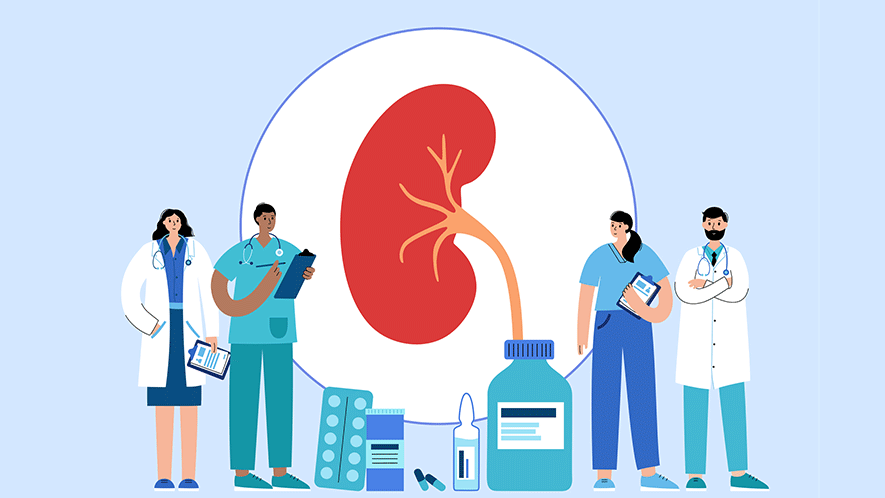 Banner: Pediatric Kidney Transplant Program