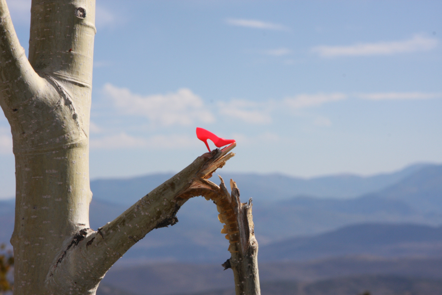 a barbie shoe in foreground of adirondacks