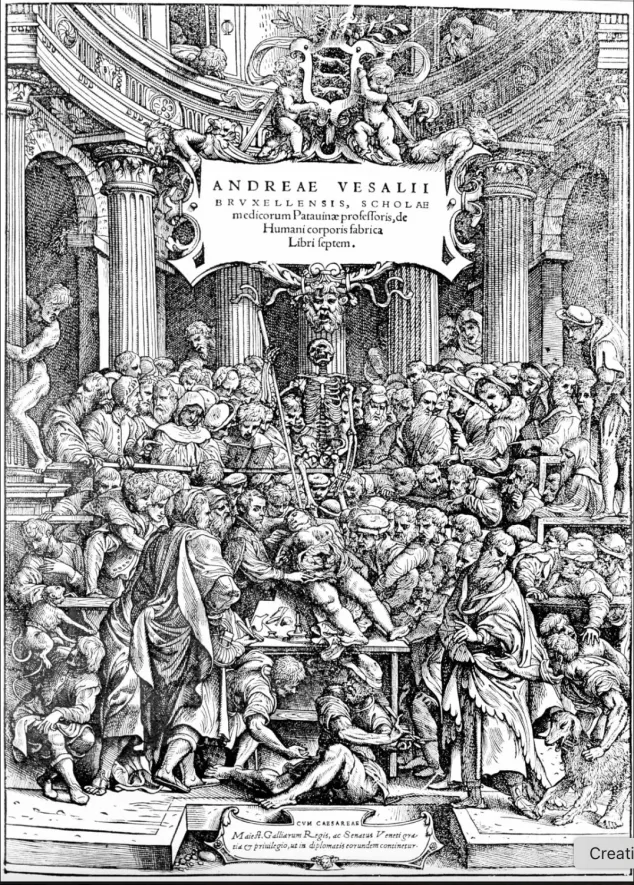 wood cut illustration vesalius fabrica