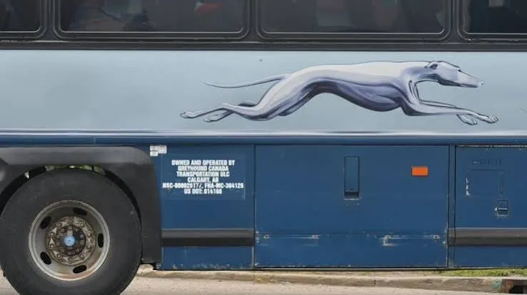greyhound bus