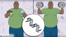 Video Thumbnail: Is Weight Loss Surgery an Option for You?
