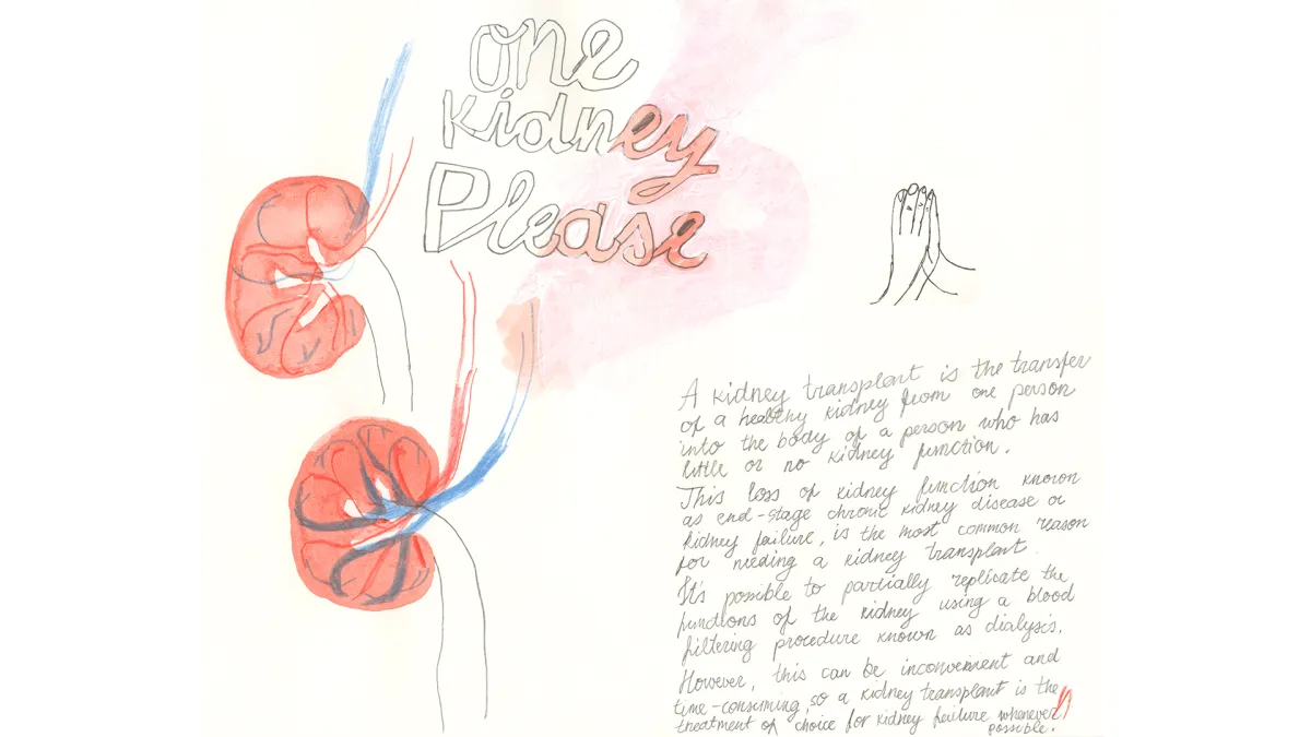a drawing of kidneys over some text