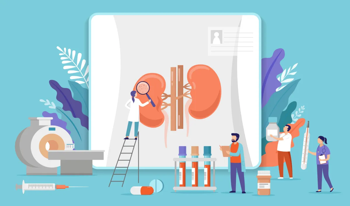 Research scientists. Science laboratory, chemistry scientists and clinical lab. Medical research items, clinical science laboratories experiments. Kidney inspection, concept vector illustration