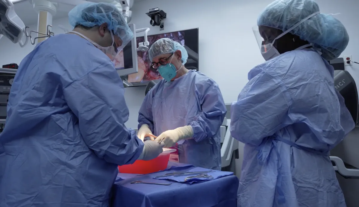 two surgeons prepare a kidney for transplant in the OR