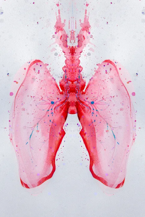 Advanced Emphysema & COPD Program image