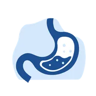 image: stomach