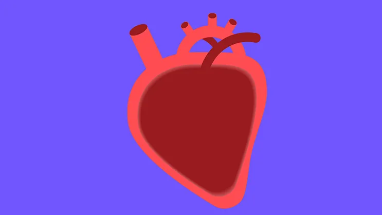 Banner: The RelayBranch Trial Introduces the First Minimally-Invasive Device for Total Aortic Arch Repair