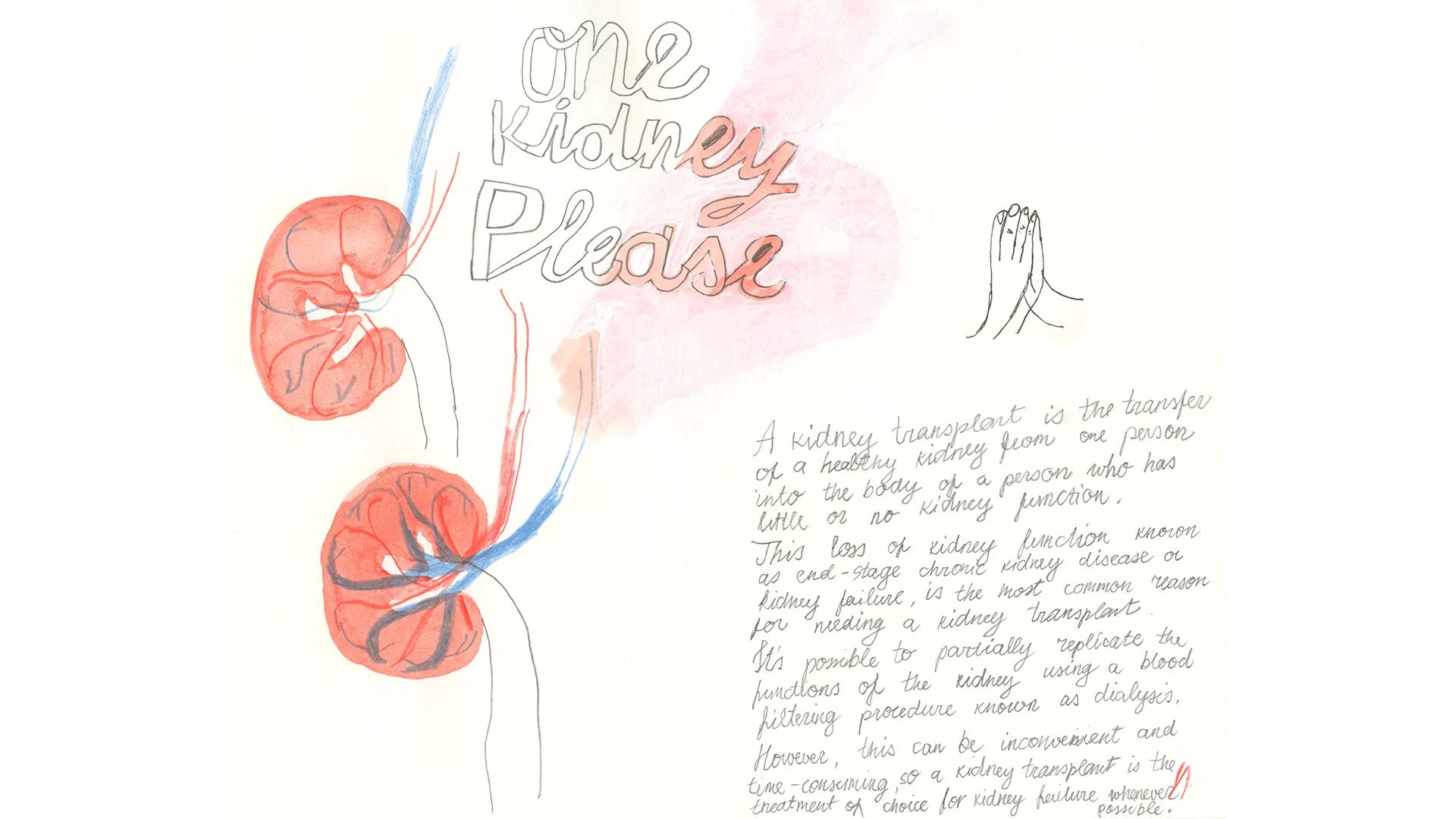 a drawing of kidneys over some text