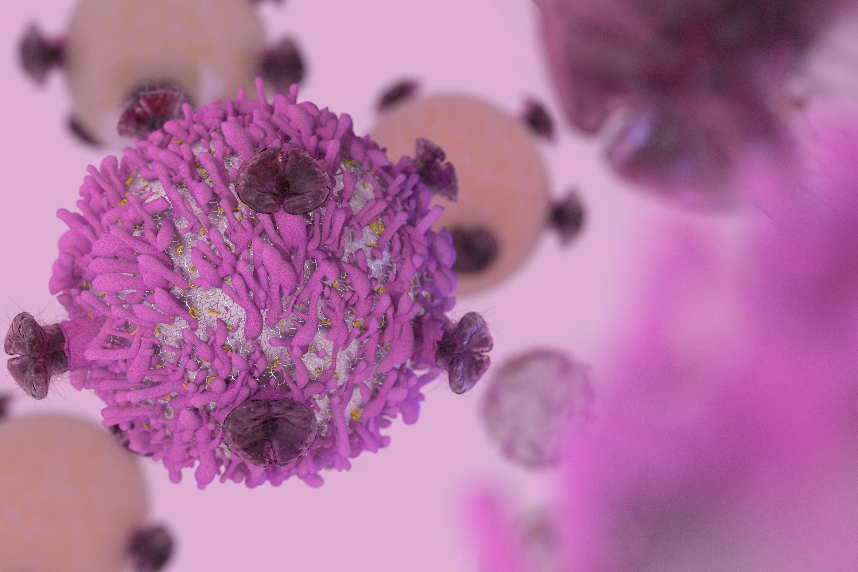 T Cell lymphocyte with receptors for cancer cell immunotherapy render