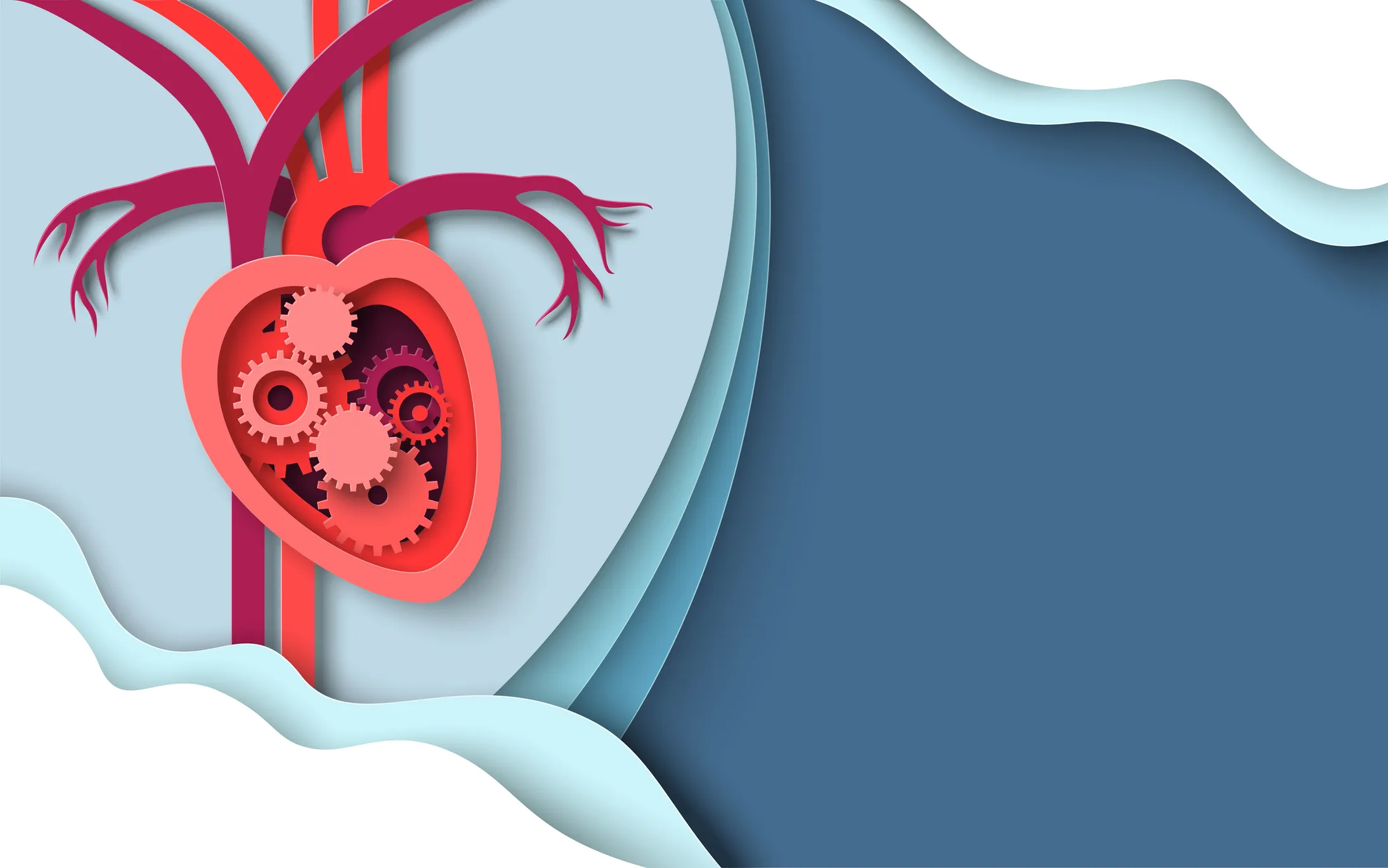 Heart gear mechanism vector cardiology 3d