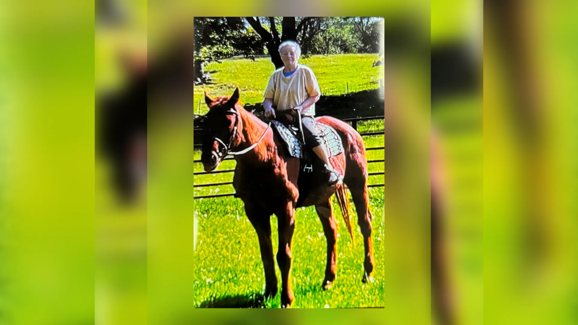 Bridgette sits on her horse in the pasture