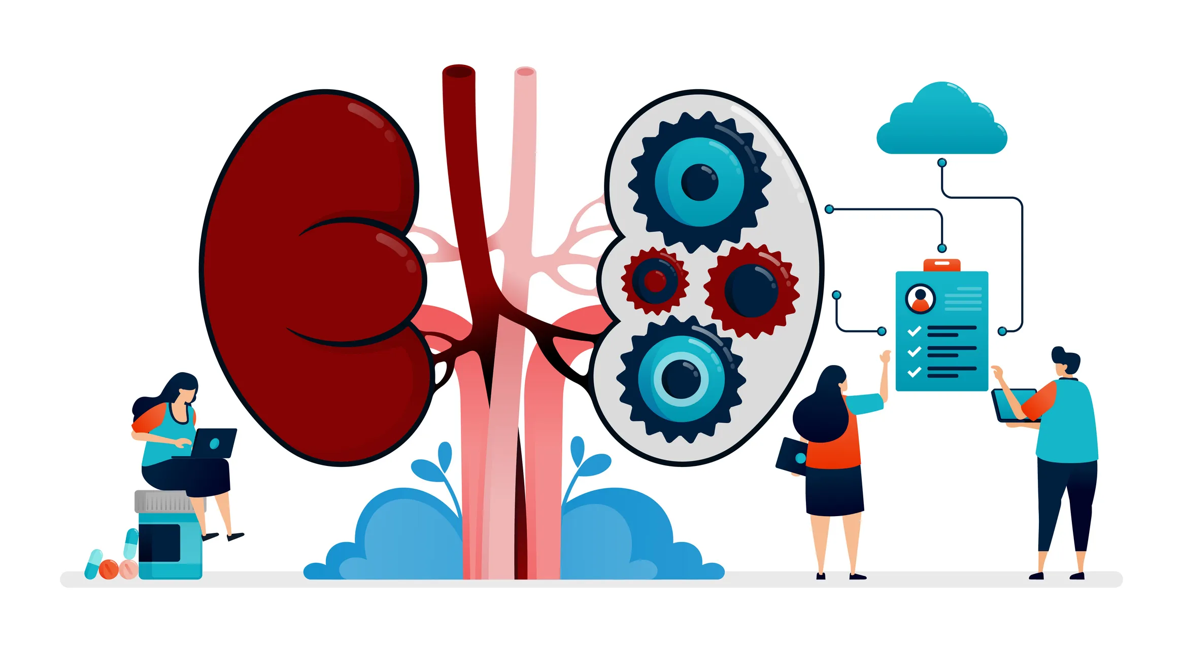 Illustration design for kidney disease and treatment. Storage of internal organ and kidney health