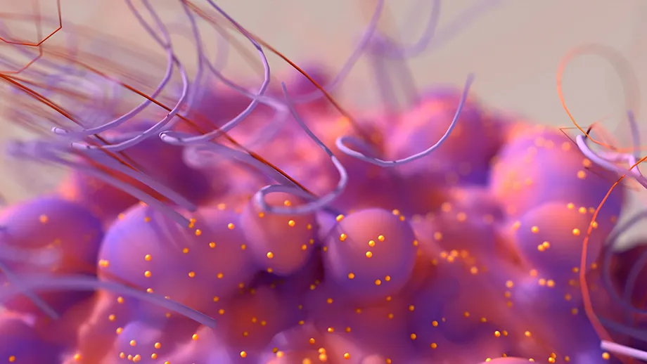 Banner: Advancements in Immunotherapy a Huge Boon for Lung Cancer Treatment