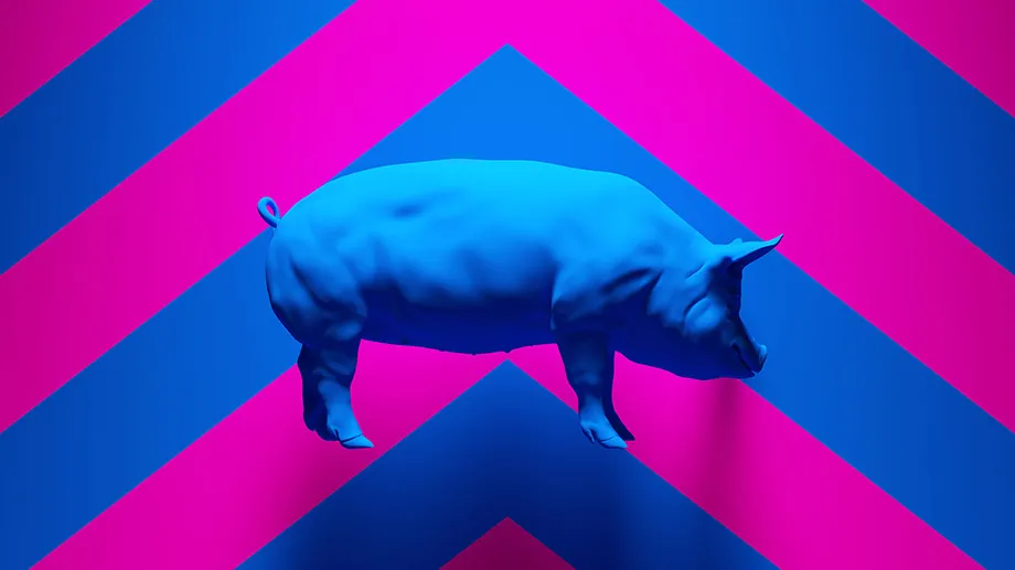 news-xenotransplantation