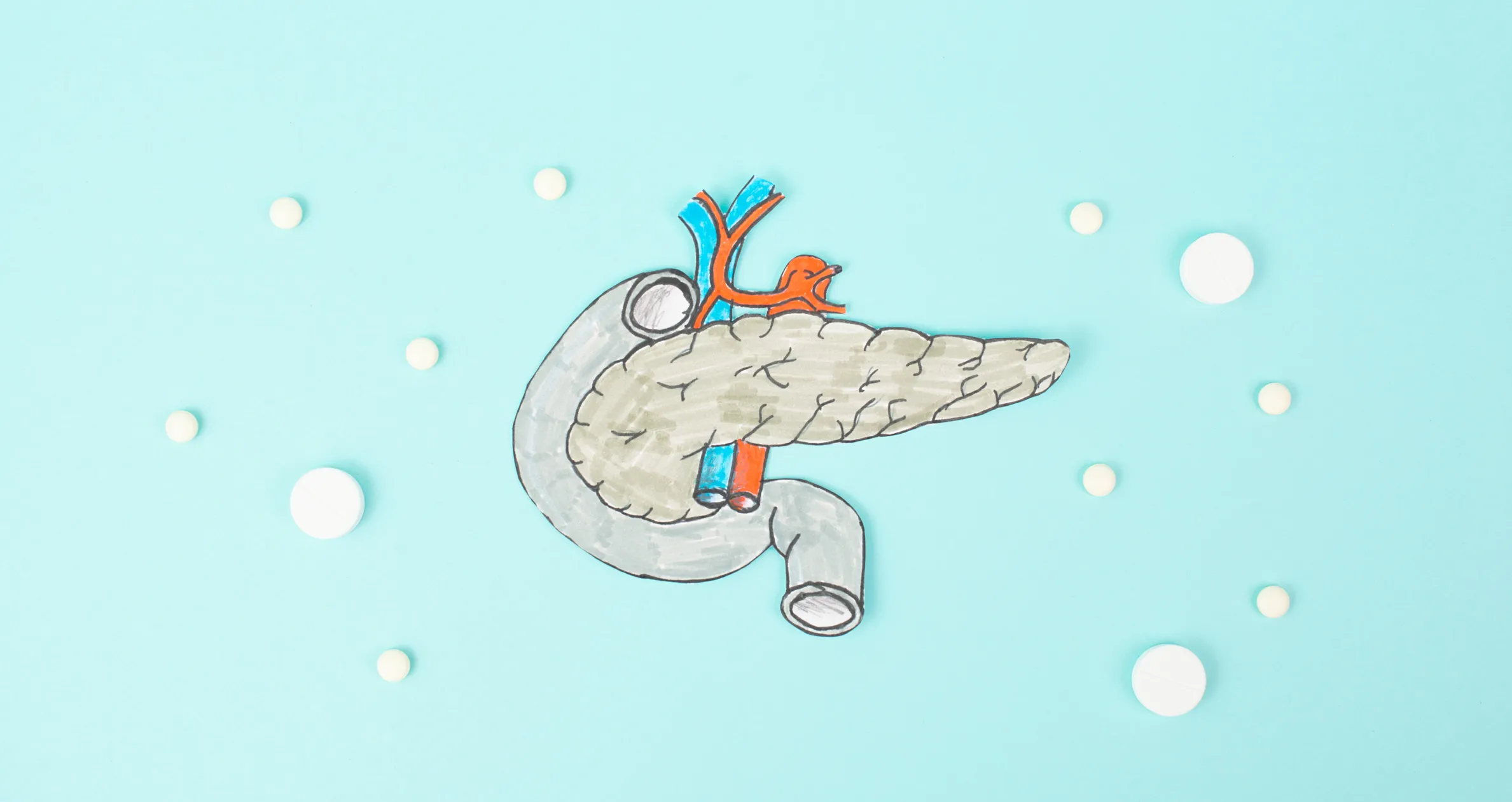 Pancreas organ with pills, digestive and endocrine system of vertebrates, regulation of blood sugar levels, insulin hormones, diabetes mellitus and cancer