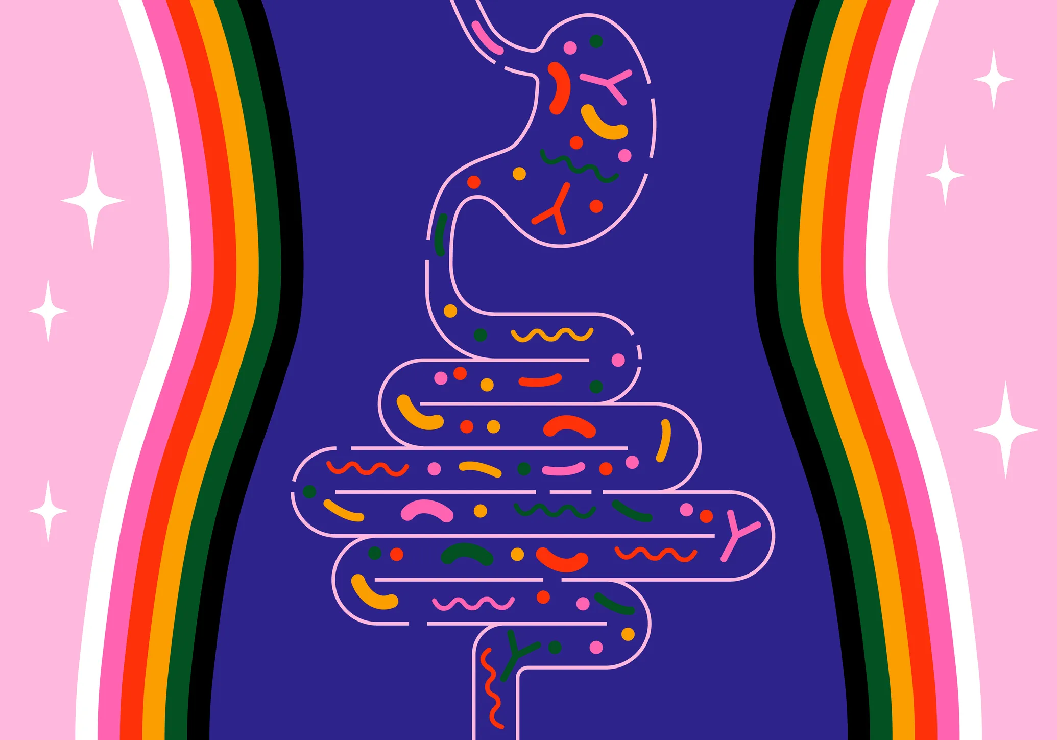 stomach illustration