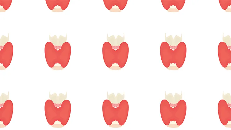 Repeating 2D color graphic of the thyroid.